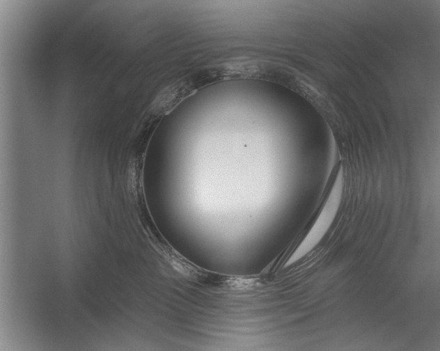 X0000056310333200509161623