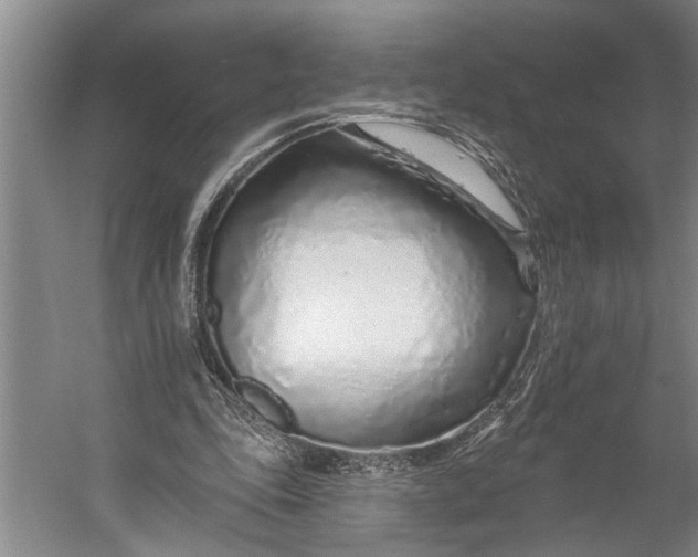 X0000056310343200509161623