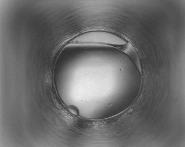X0000056310345200509161623
