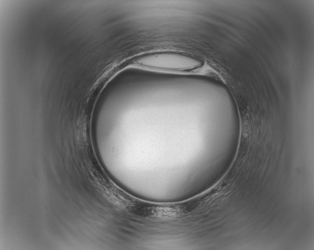 X0000056310347200509161623