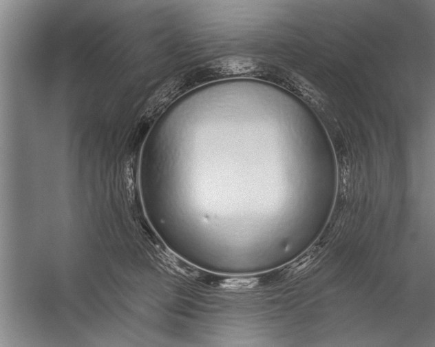 X0000056310373200509161623