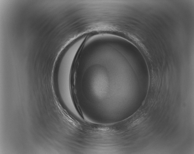 X0000056310391200509161622