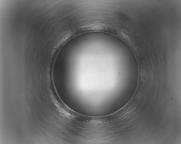 X0000056310394200509161622