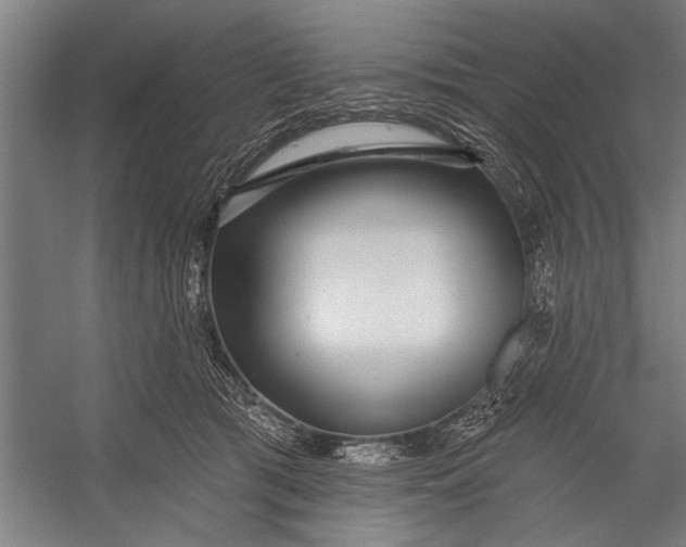 X0000056310417200509161622