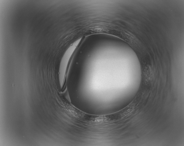 X0000056310420200509161622