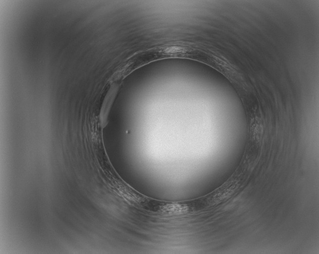 X0000056310421200509161622