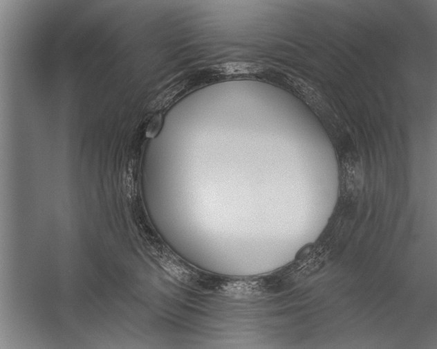 X0000056310422200509161622