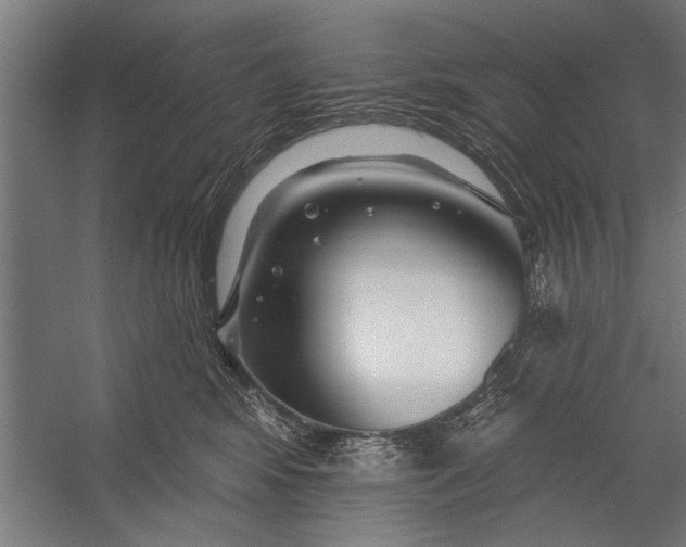 X0000056310424200509161622