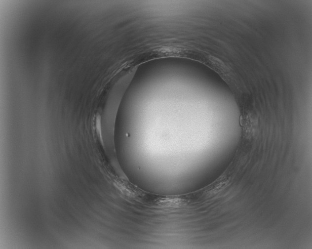 X0000056310428200509161622