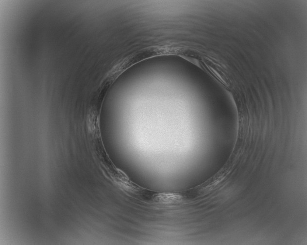 X0000056310429200509161622