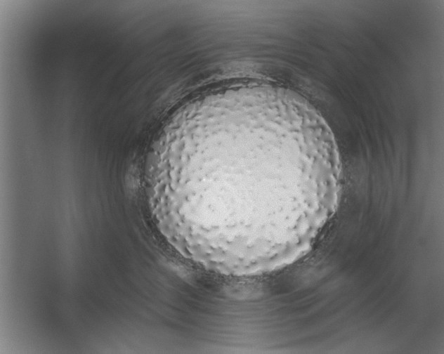 X0000056310431200509161622