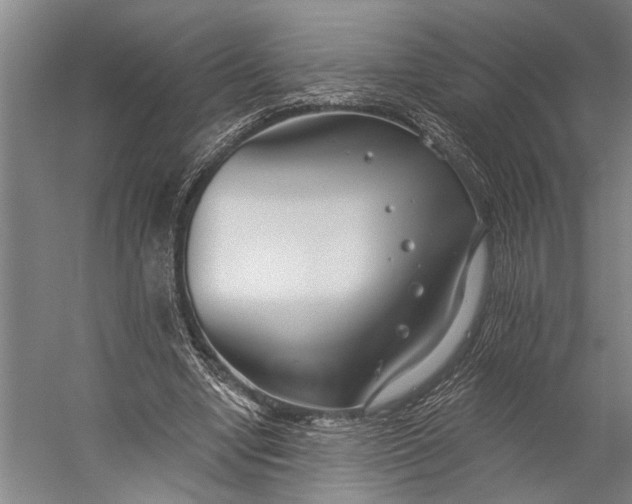 X0000056310442200509161621
