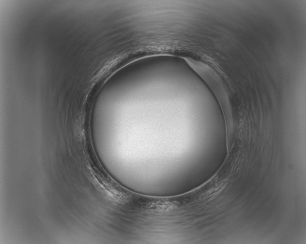 X0000056310443200509161621