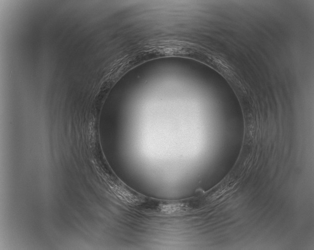 X0000056310461200509161621