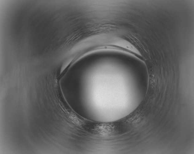 X0000056310466200509161622
