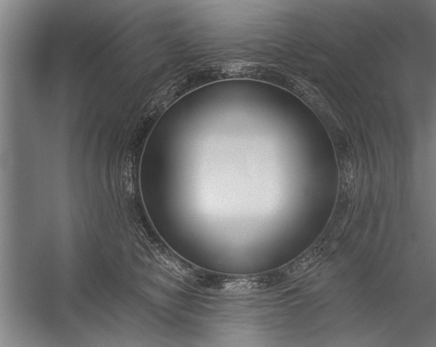 X0000056310470200509161622