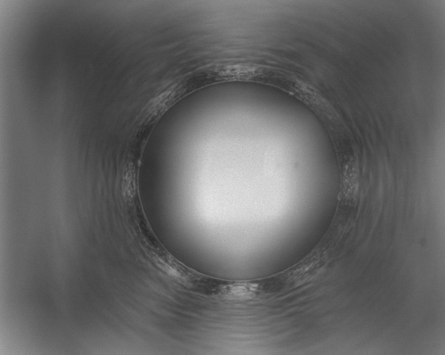 X0000056310474200509161622