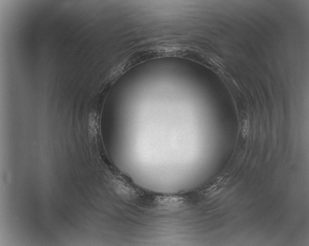 X0000056310476200509161622