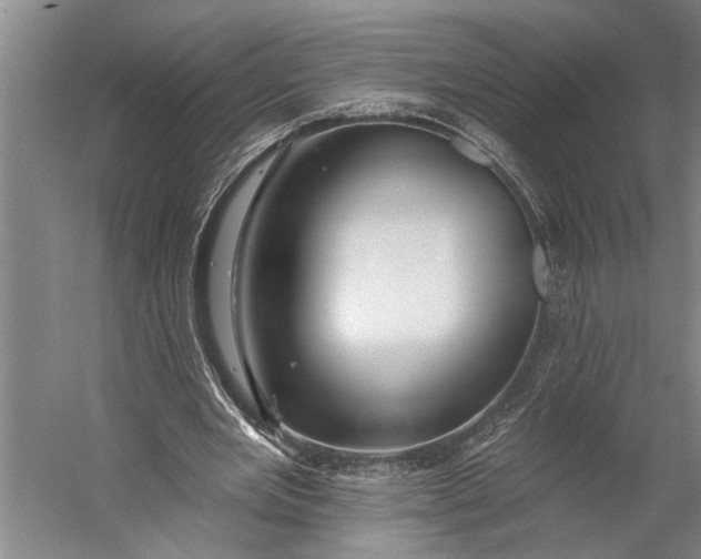 X0000056310485200509161621