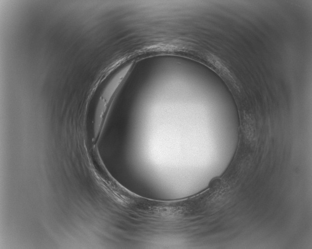 X0000056310486200509161621