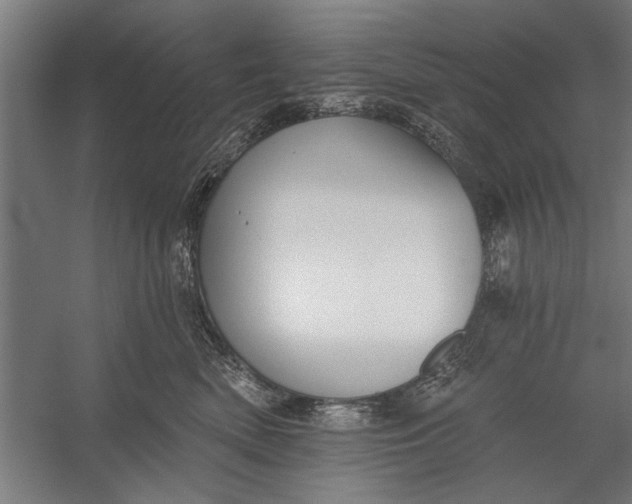 X0000056310522200509161620