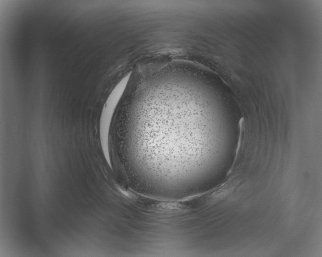 X0000056310528200509161620