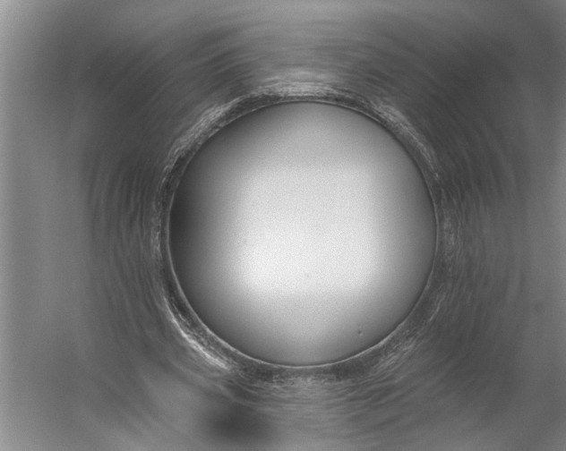 X0000056310533200509161619