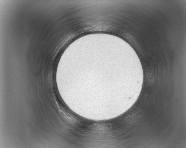 X0000056310534200509161619