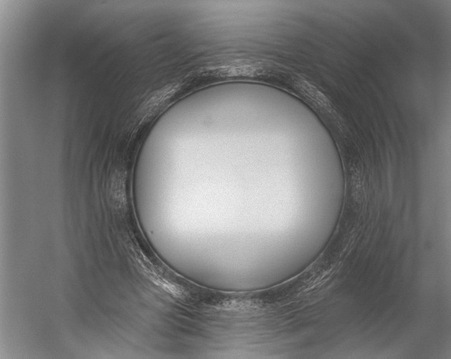 X0000056310537200509161619