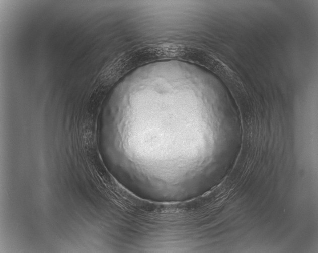 X0000056310553200509161620