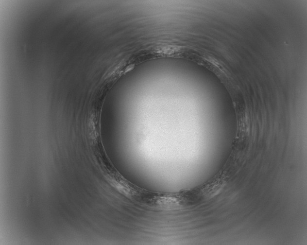 X0000056310572200509161620