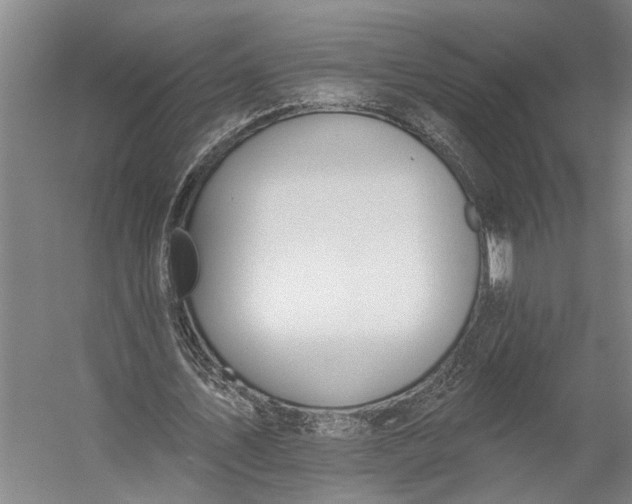 X0000056310579200509161619