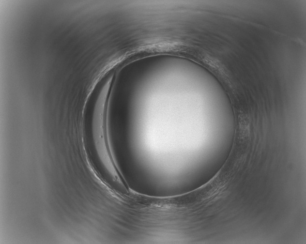 X0000056310582200509161619