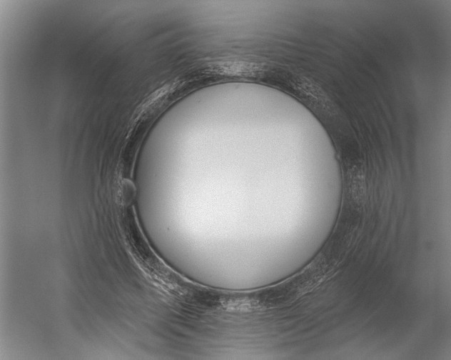 X0000056310587200509161619