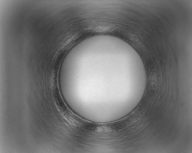 X0000056310591200509161619