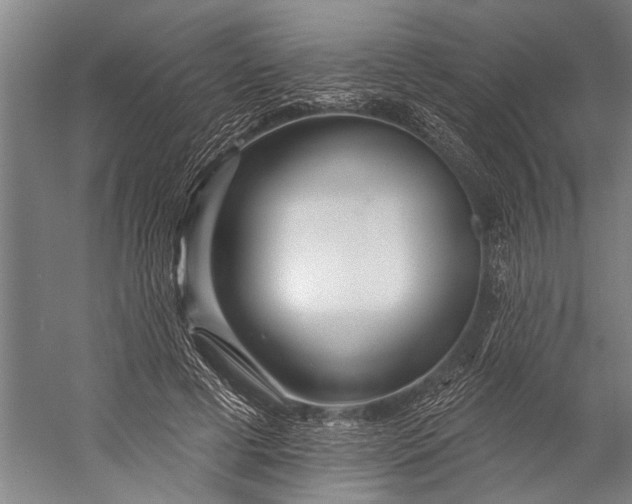X0000056310593200509161619