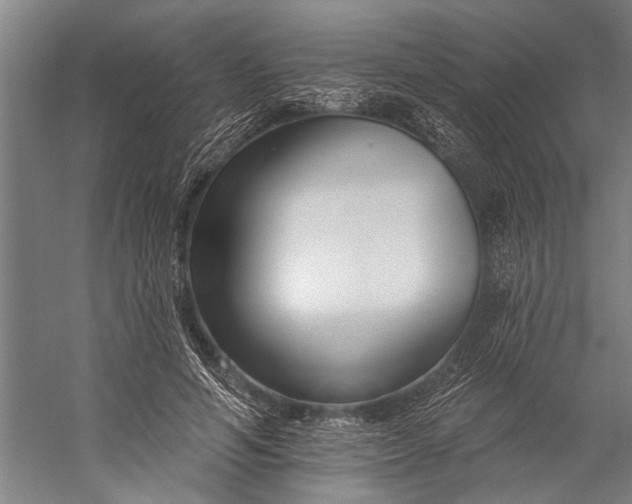X0000056310594200509161619