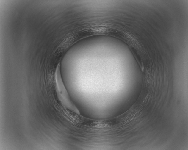 X0000056310601200509161619