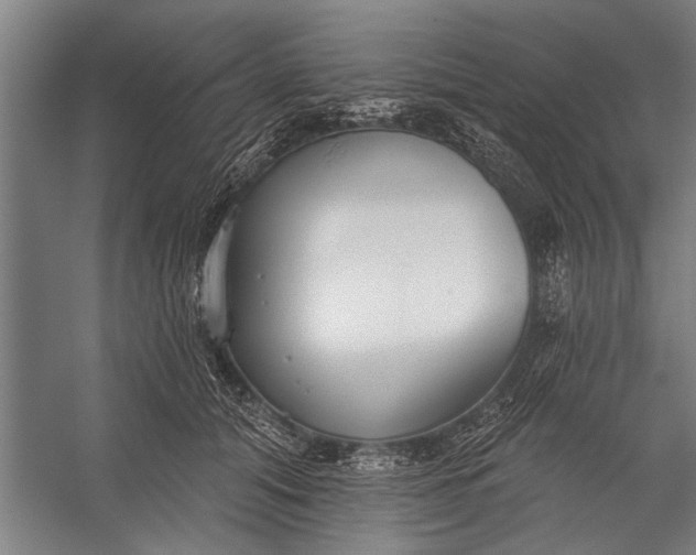 X0000056310608200509161619