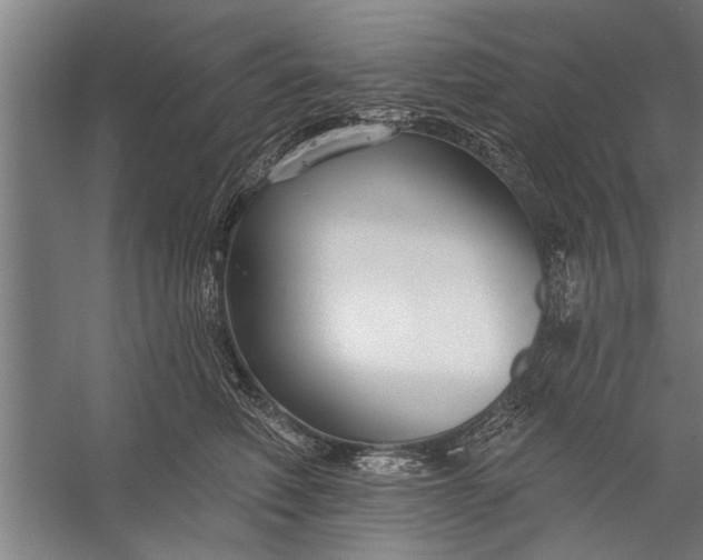 X0000056310614200509161619