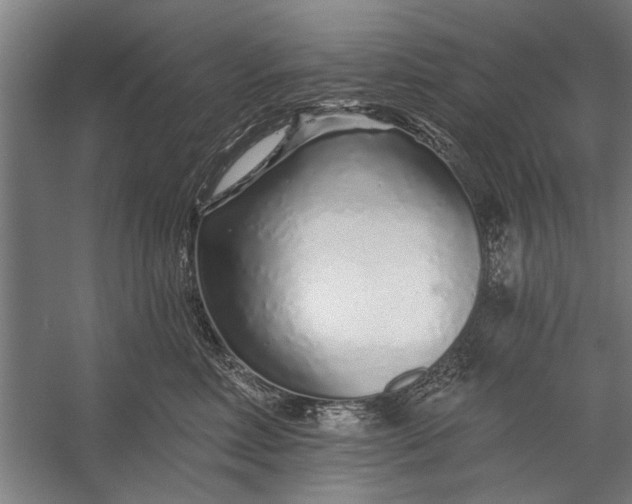 X0000056310618200509161619