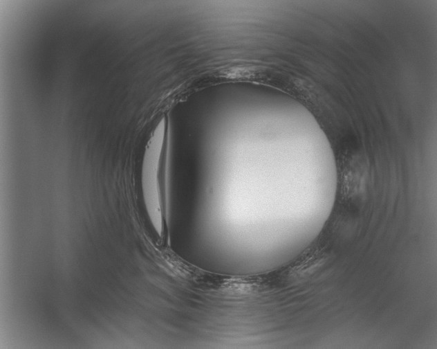 X0000056310620200509161619