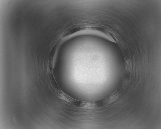 X0000056310621200509161619
