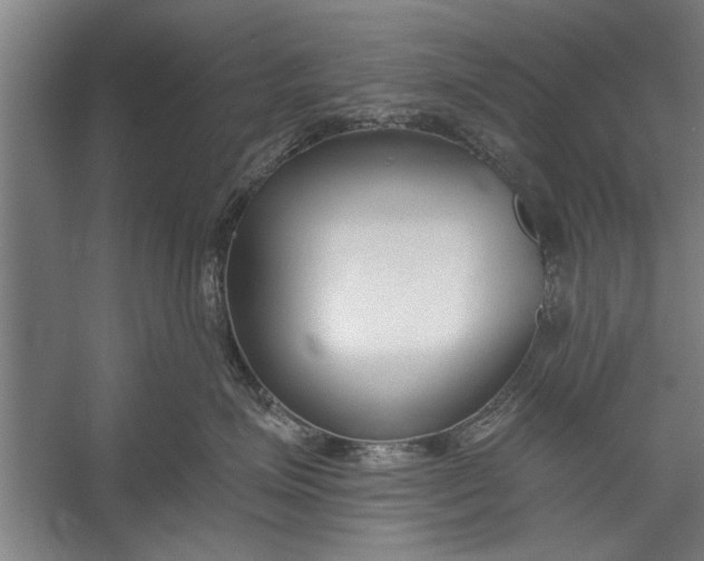 X0000056310623200509161619