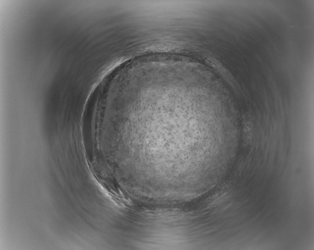 X0000056310626200509161618