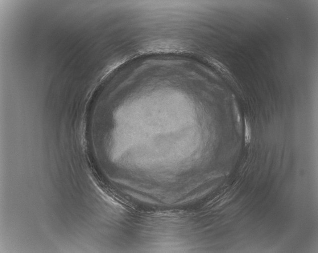 X0000056310627200509161618