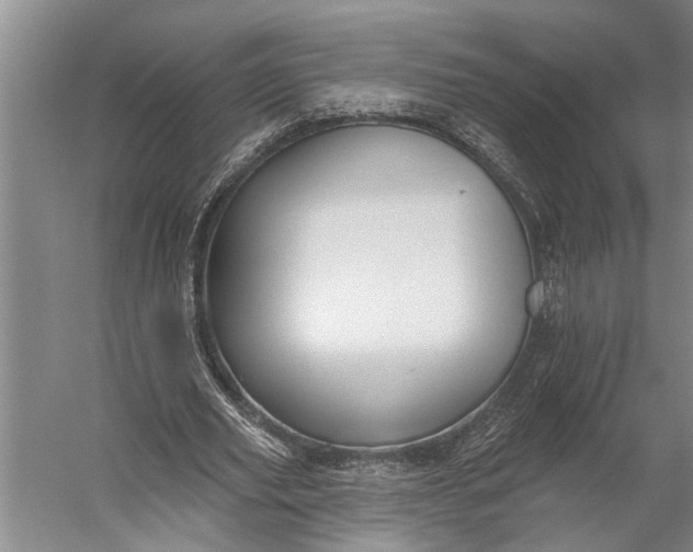 X0000056310629200509161618