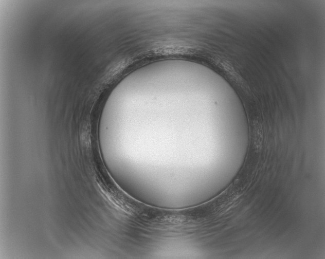 X0000056310631200509161618