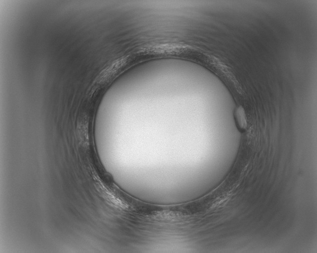 X0000056310633200509161618