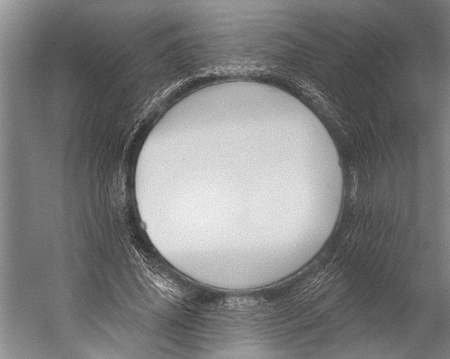 X0000056310636200509161618